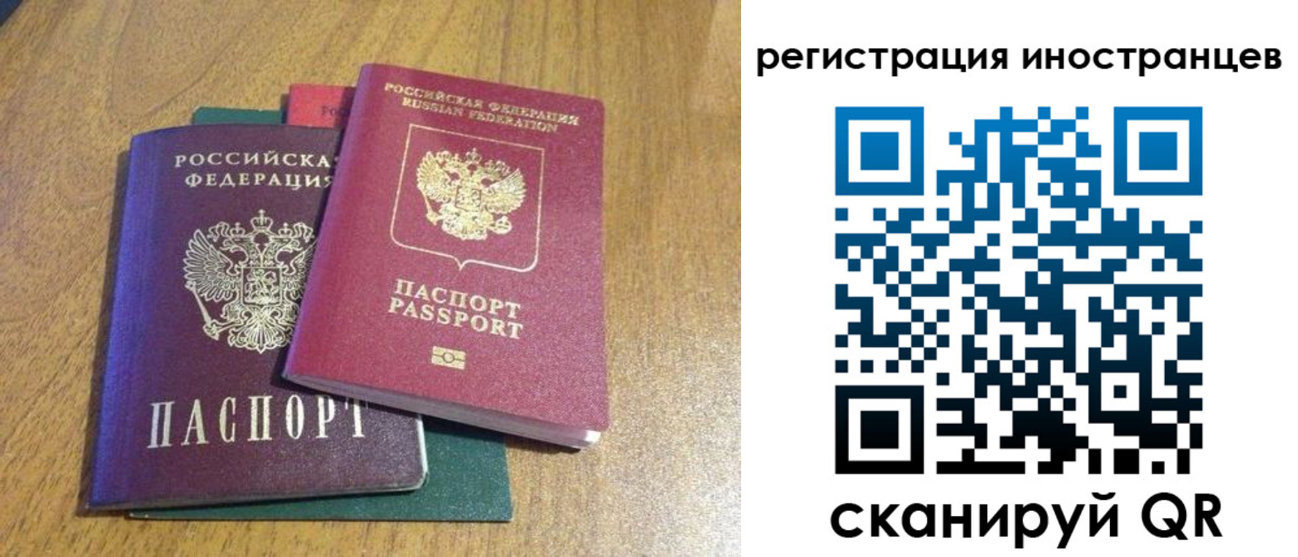 временная регистрация поиск в Коле